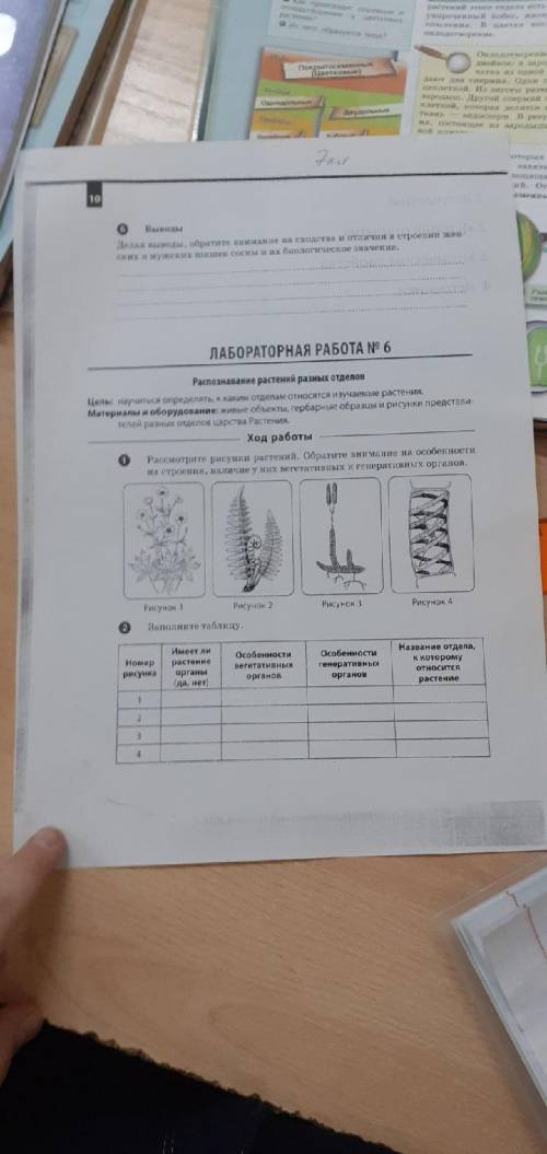 решитьзадание по биологии