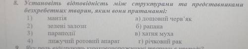 1) сролянка 8. Установіть відповідність між структурами та представникамибезхребетних тварин, яким в