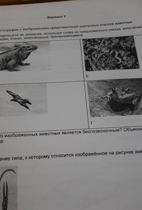 Вариант 1 Задание 1Рассмотрите фотографии с изображением представителей различных классов животныхПо