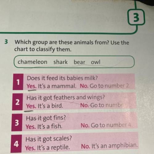 With group are these animals from? Use the chart to classify them.