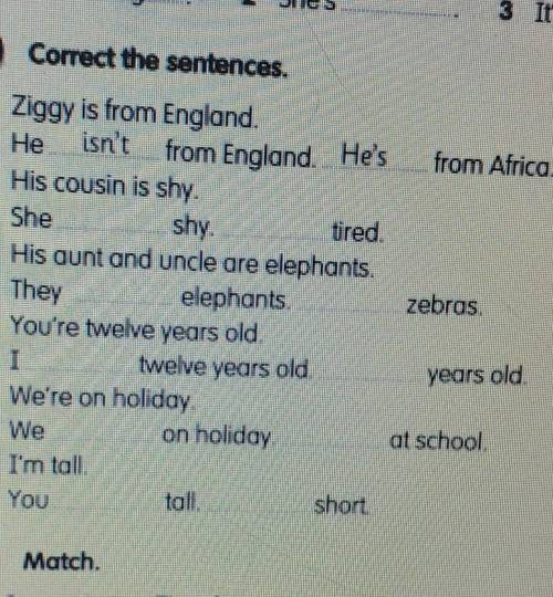 1 Ziggy is from England He isn't from England. He's from Africa2 His cousin is shy.She...shy. ... ti