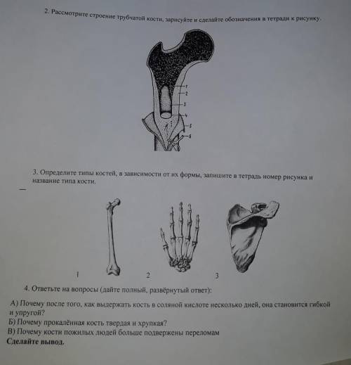 Номер 2 и номер 4. 8 класс не отвечайте кто не знает, буду банить​