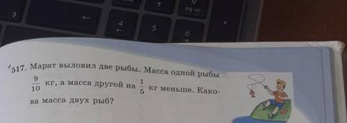 517. Марат выловил две рыбы. Масса одной рыбы 91кг, а масса другой на кг меньше. Како-10ва масса дву