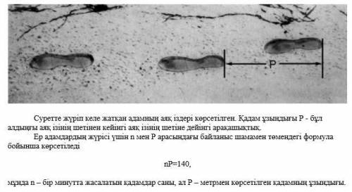 Осы формуланы пайдалана отырып, егер минутына 35 қадам жасайтын болса, Айбек балақайдың қадамының ұз