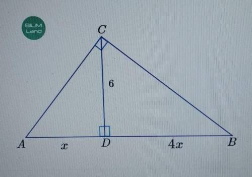 Пропорциональные отрезки в прямоугольном треугольнике Найди x9 см4 см2 см3 см​Будет 3