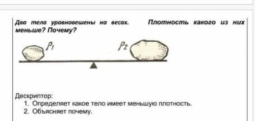 Два тела уровновешаны на весах.Плотность какого из них меньше?Почему ?​