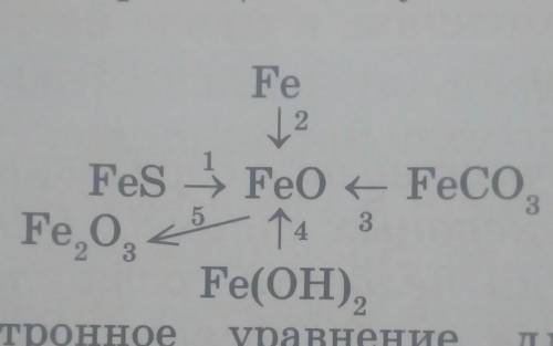. Напишите уравнение реакции получения оксидa железа (11) по этой схеме:Составьте электронное уравне