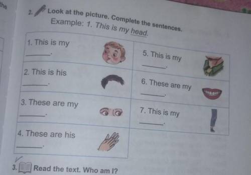 Look at the picture. Complete the sentences. Example: 1. This is my head1. This is my5. This is my2.