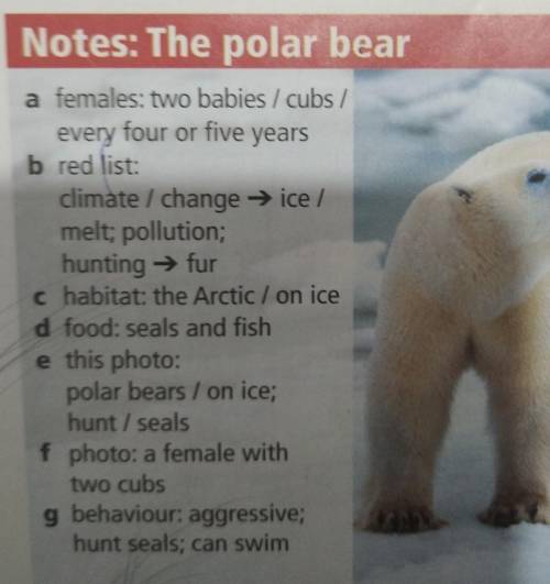 Notes: The polar bear a females: two babies / cubs /every four or five yearsb red list:climate chang