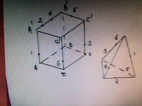 Нужно начертить сечение в фигурах, а также линии сечения. 1) через точки 3,1,2; 2) через точки 2,4,3
