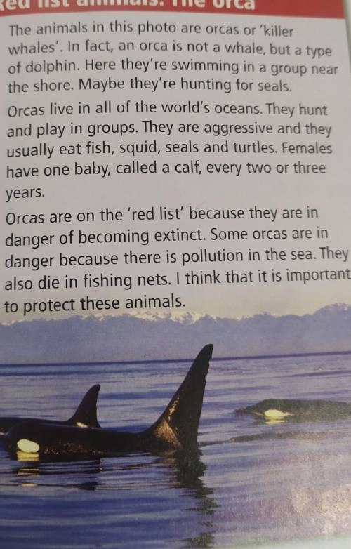 1 Which paragraph describes the life and habitat of the orca? Which describes aproblem?2 Do orcas li