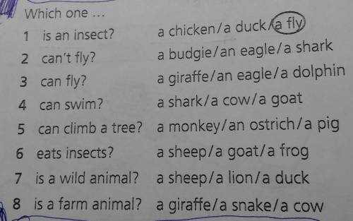Which one ... 1 is an insect? a chicken/a duck la fly2 can't fly?a budgie/an eagle/a shark3 can fly?