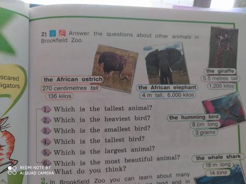 Answer the questions about other animals in Brookfield zoo