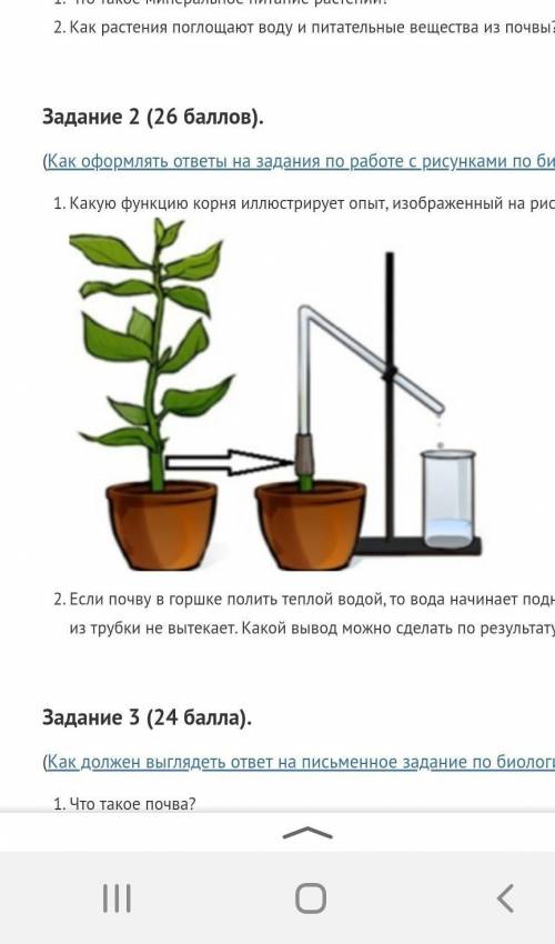 1)как растения поглощают воду и питательные вещества из почвы? Задание 2 ( ). (Как оформлять ответы