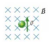 №1. Протон влетает в магнитное поле как показано на рисунке. Нарисуйте вектор силы, с которой магнит