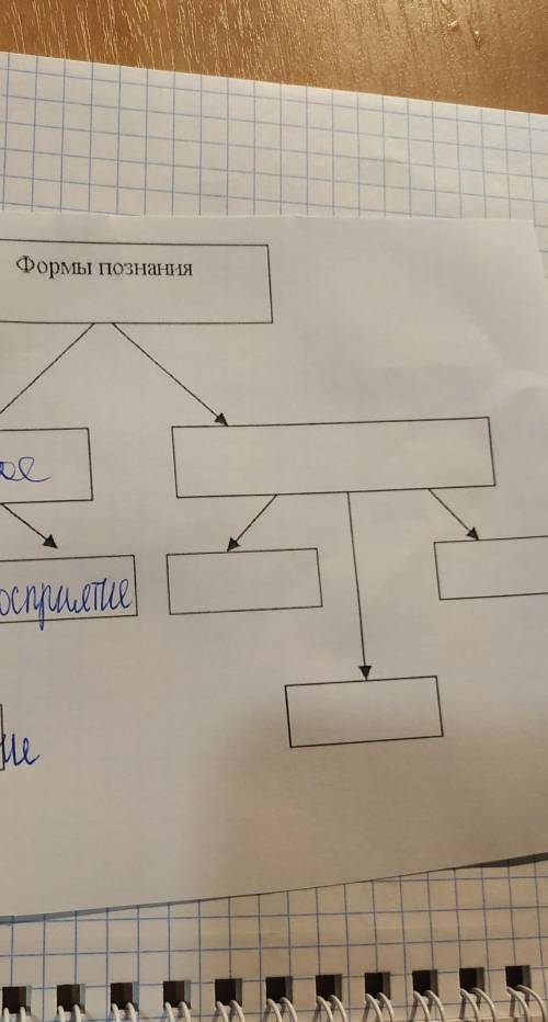 Формы познанияинформатика 6 класс​