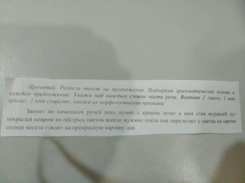 Раздели текст на предложения. Подчеркни грамматические основы в каждом предложении. Укажи над каждым