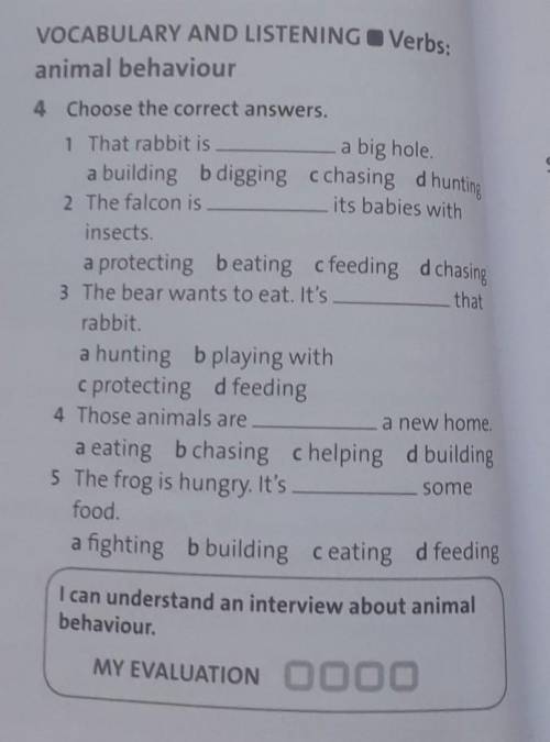 A big hole its babies withVOCABULARY AND LISTENING Verbs:c chasing dhuntinga protecting beating cfee