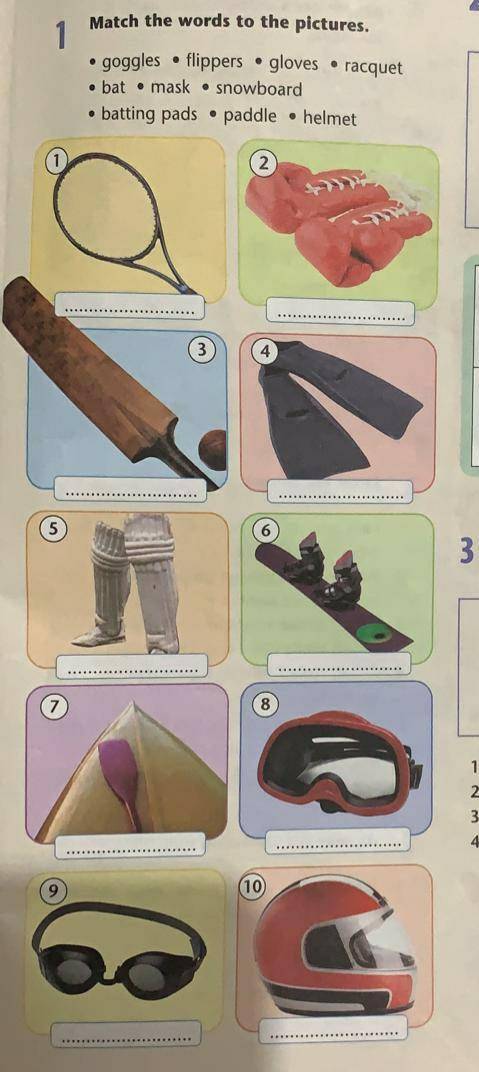 Match the words to the pictures. flippers. bat • mask • snowboard• batting pads • paddle • helmetgog