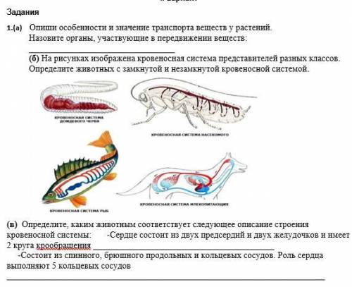 Нужна нумеруйте задания