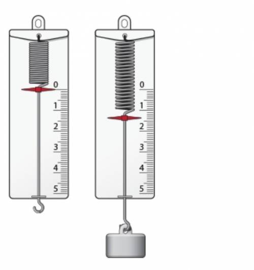 Определить с весов массу m измеряемого тела и записать ее значение в кг (единица измерения массы кг)