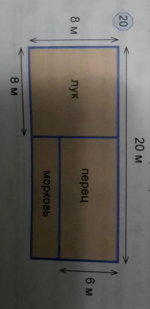 Найдите площадь каждого участка в соответствии с планом сода на рисунке 20 помагите