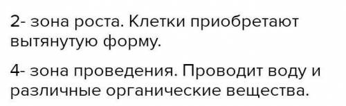 Заполните таблицу. Опишите особенности строения Зон корня под цифрой 1 и 22. Укажите взаимосвязь меж