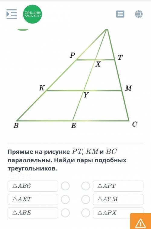 Прямые на рисунке PT,KM и BC параллельны.Найди пары подробных треугольников.​