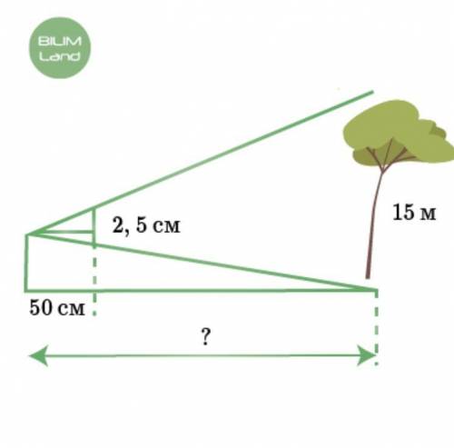 Если Азат держит копейку диаметром 2,5 см на растояний 50 см от глаза, то дерево высотой 15 м не вид