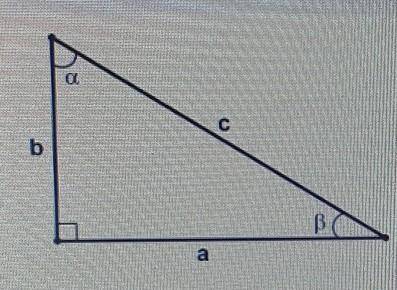 В прямоугольном треугольнике: В = 300 C = 54 см, Найдите длины ног a и b. Количество правильных отве