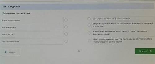 Установите соответствие. эти клетки постоянно размножаютсяЗоны проведениястарые корневые волоски пос