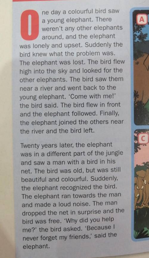 2 Read the story again and answer the questions.1 Why was the elephant upset?2 How did the bird help