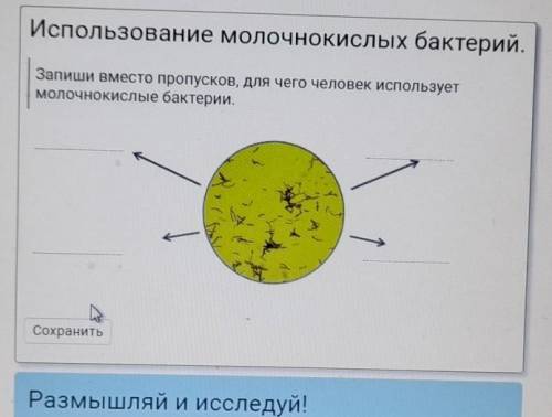 разобраться с природовединьем ​