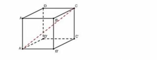 ABCDA'B'C'D 'Найдите косинус угла между плоскостью ABCD и прямой AC' в единичном кубе.​
