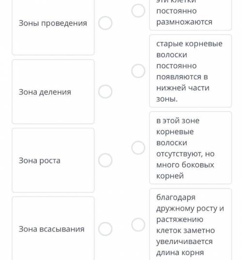 ￼￼«￼￼Транспорт веществ питание живых организмов» Установите соответствие сор идет