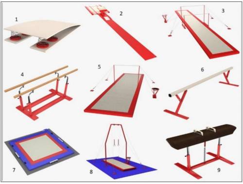 Назовите гимнастические снаряды и разделите их на женские и мужские.​