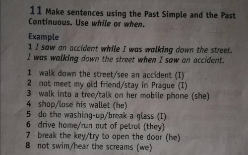 Make sentences using the Past Simple and the Past Continuous. Use while or when.