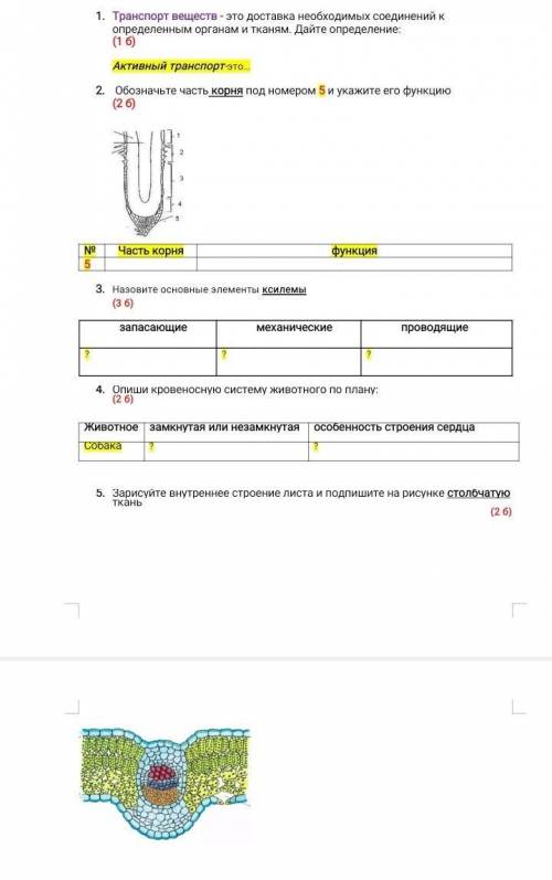 Если решите то подпишусь​