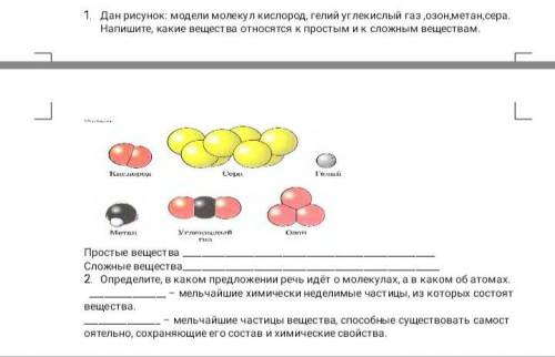 Естествознание. Вопросы в файлах