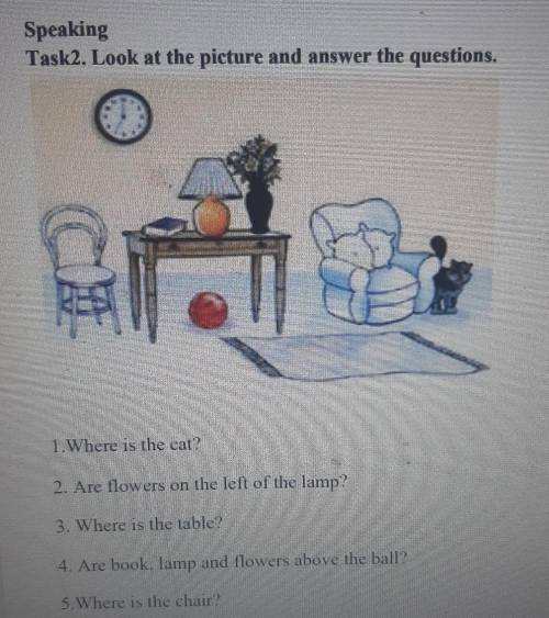 1. Where is the cat? 2. Are flowers on the left of the lamp?3. Where is the table?4. Are book, lamp