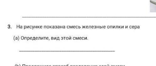 На рисунке показана смесь железных опилок и серы определи вид этой смеси