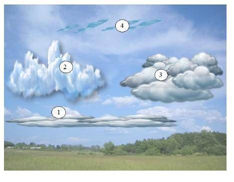 Определите виды облаков, соответствующие цифрам [2] 1.2.3.4.​