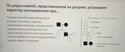 По родословной, представленной на рисунке установите наследования при...