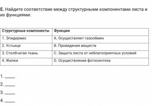 Найдите сотвествие между структурами компонентами листа и их функциями . 0 ​