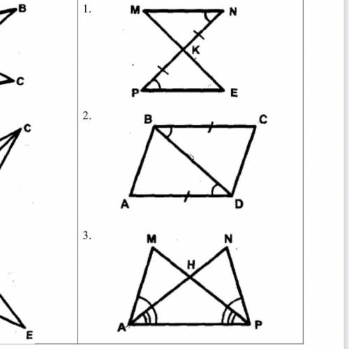 Найти пары равных треугольников и доказать их равенство