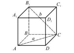 Дан куб ABCDA1B1C1D1. Установите, перпендикулярны ли прямые a и b