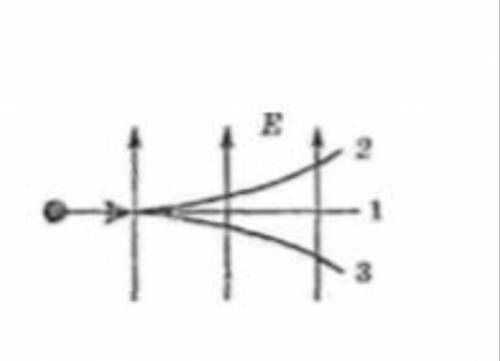 в электрическое поле влетает нейтрон. Укажите траекторию в характер движения частицы (равномерно, ус
