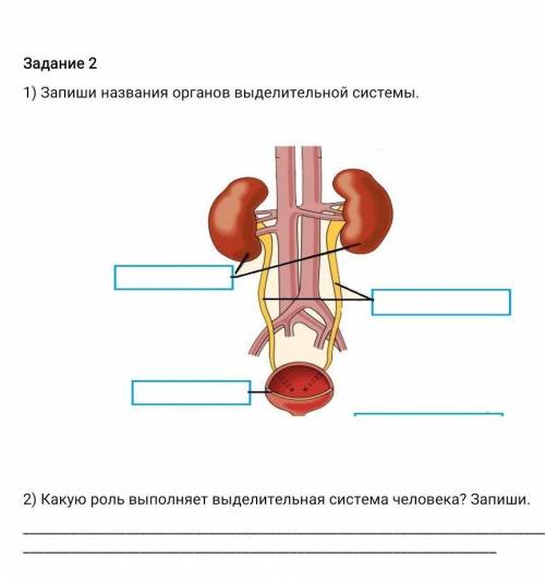 Кто поставлю 5 Звёзд​