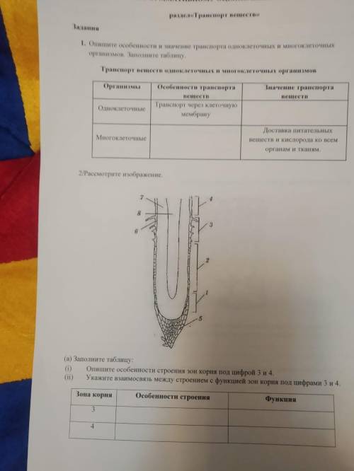 Сор по биологии 7 класс 2 четверть