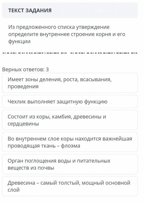 Из предлоденного списка утверждение определите внутреннее строение корня и его функций​